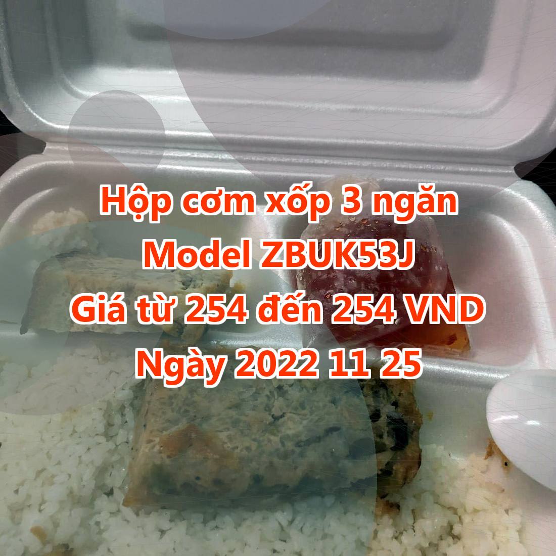 Hộp cơm xốp 3 ngăn - Model ZBUK53J