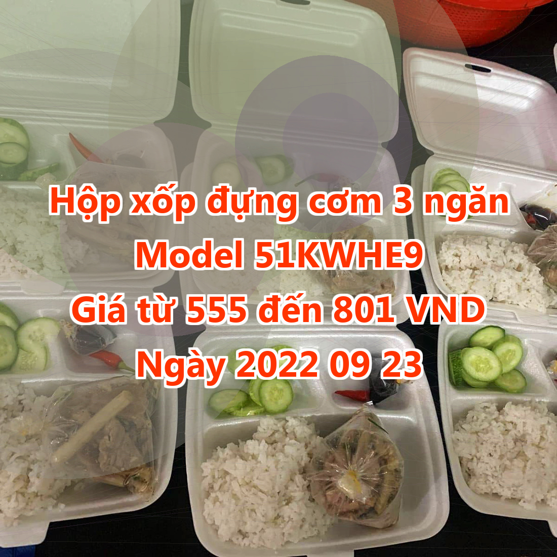 Hộp xốp đựng cơm 3 ngăn - Model 51KWHE9