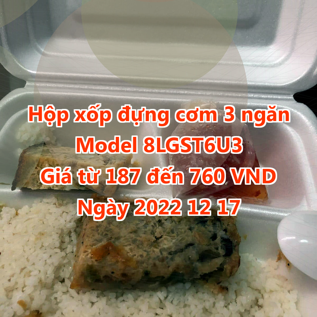 Hộp xốp đựng cơm 3 ngăn - Model 8LGST6U3