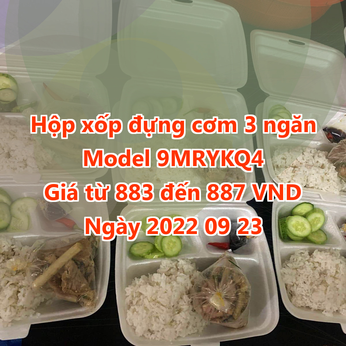 Hộp xốp đựng cơm 3 ngăn - Model 9MRYKQ4 - Màu Navajo White