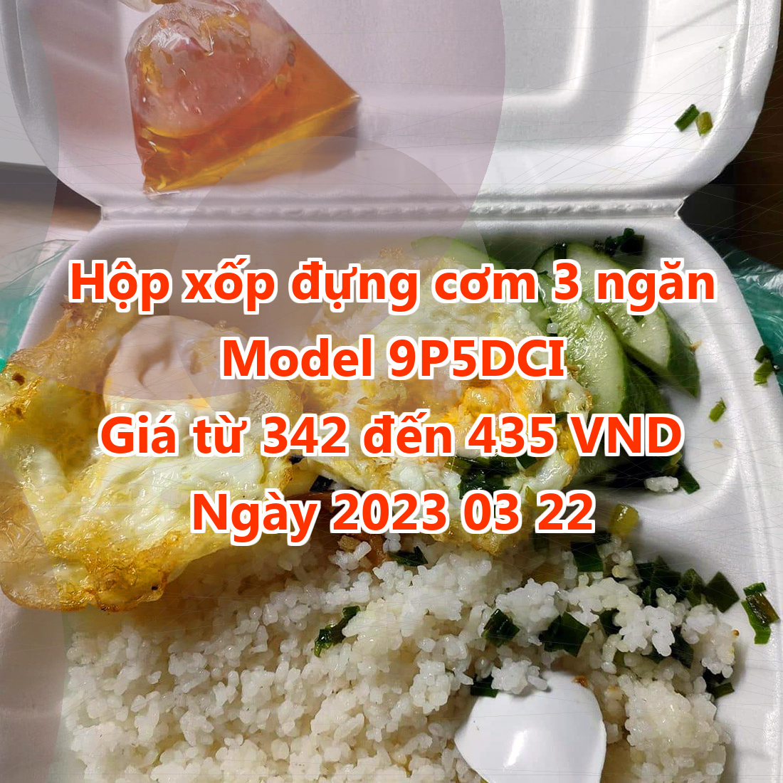 Hộp xốp đựng cơm 3 ngăn - Model 9P5DCI