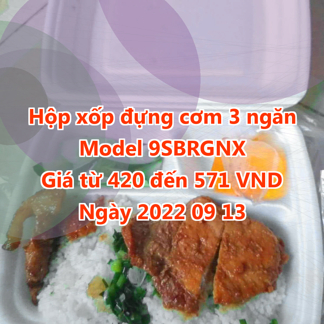 Hộp xốp đựng cơm 3 ngăn - Model 9SBRGNX