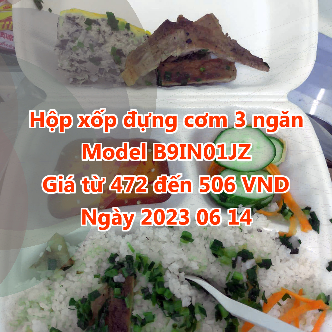 Hộp xốp đựng cơm 3 ngăn - Model B9IN01JZ