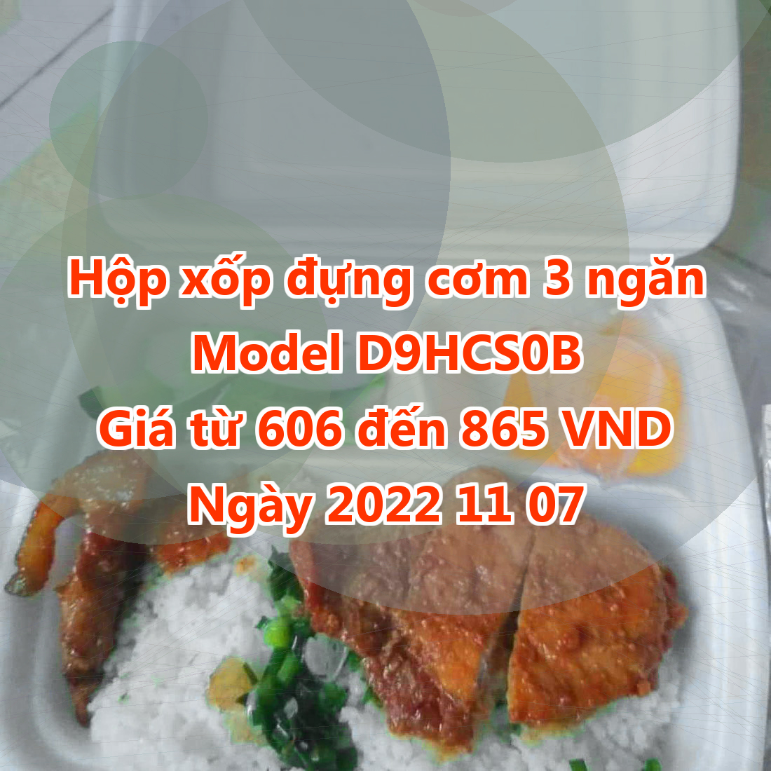 Hộp xốp đựng cơm 3 ngăn - Model D9HCS0B