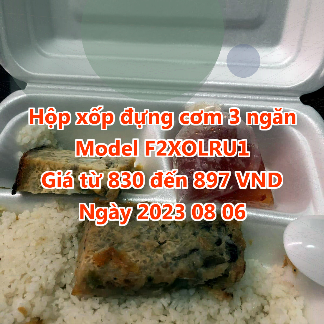 Hộp xốp đựng cơm 3 ngăn - Model F2XOLRU1 - Màu Light Gray