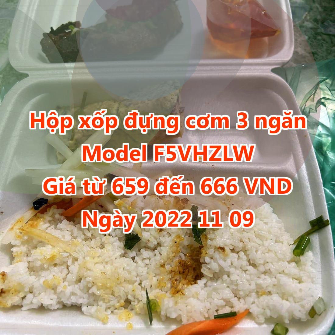 Hộp xốp đựng cơm 3 ngăn - Model F5VHZLW