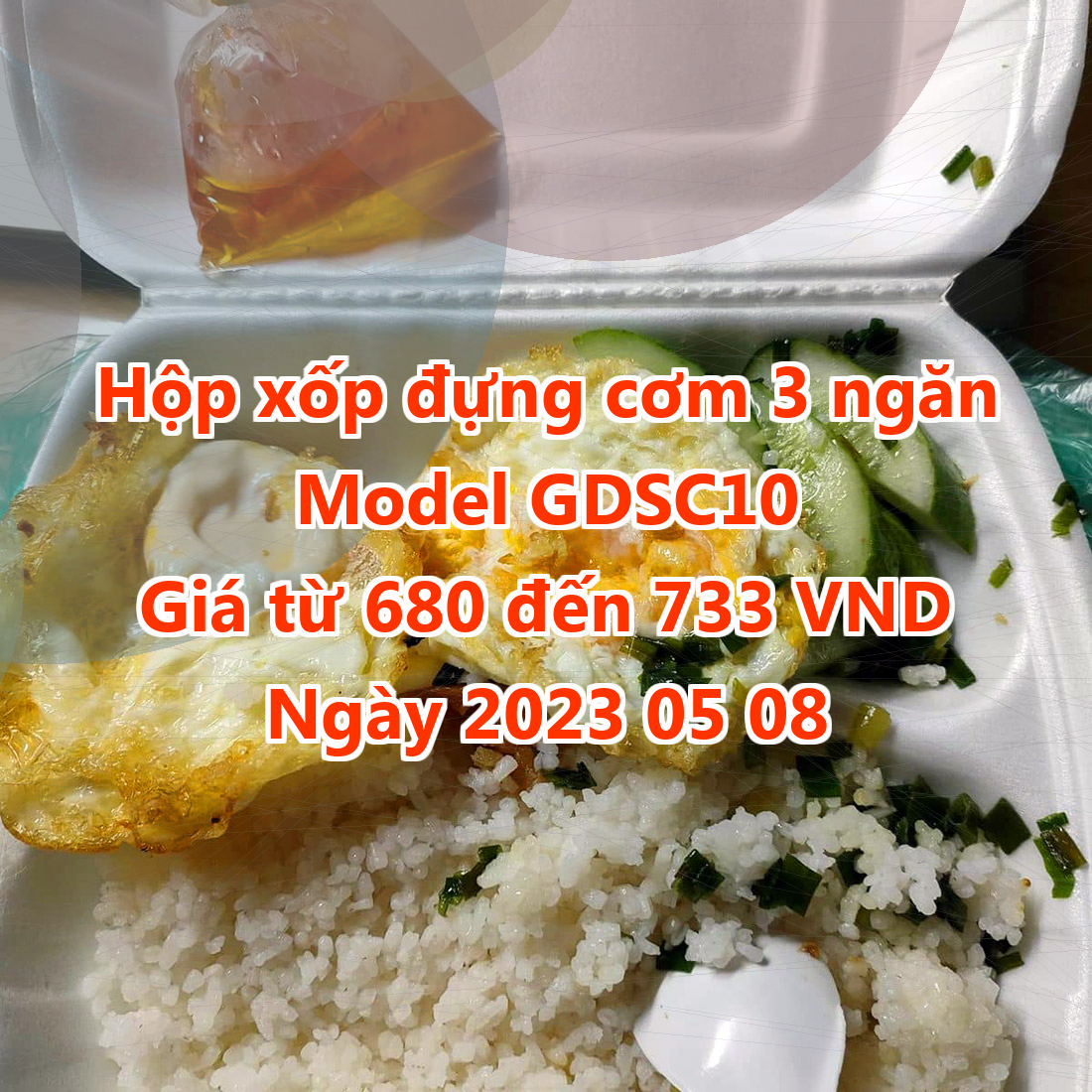 Hộp xốp đựng cơm 3 ngăn - Model GDSC10