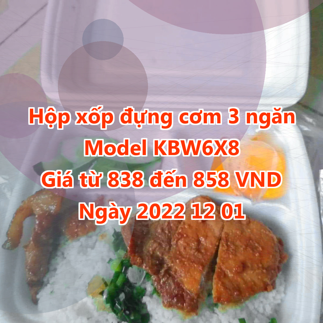 Hộp xốp đựng cơm 3 ngăn - Model KBW6X8