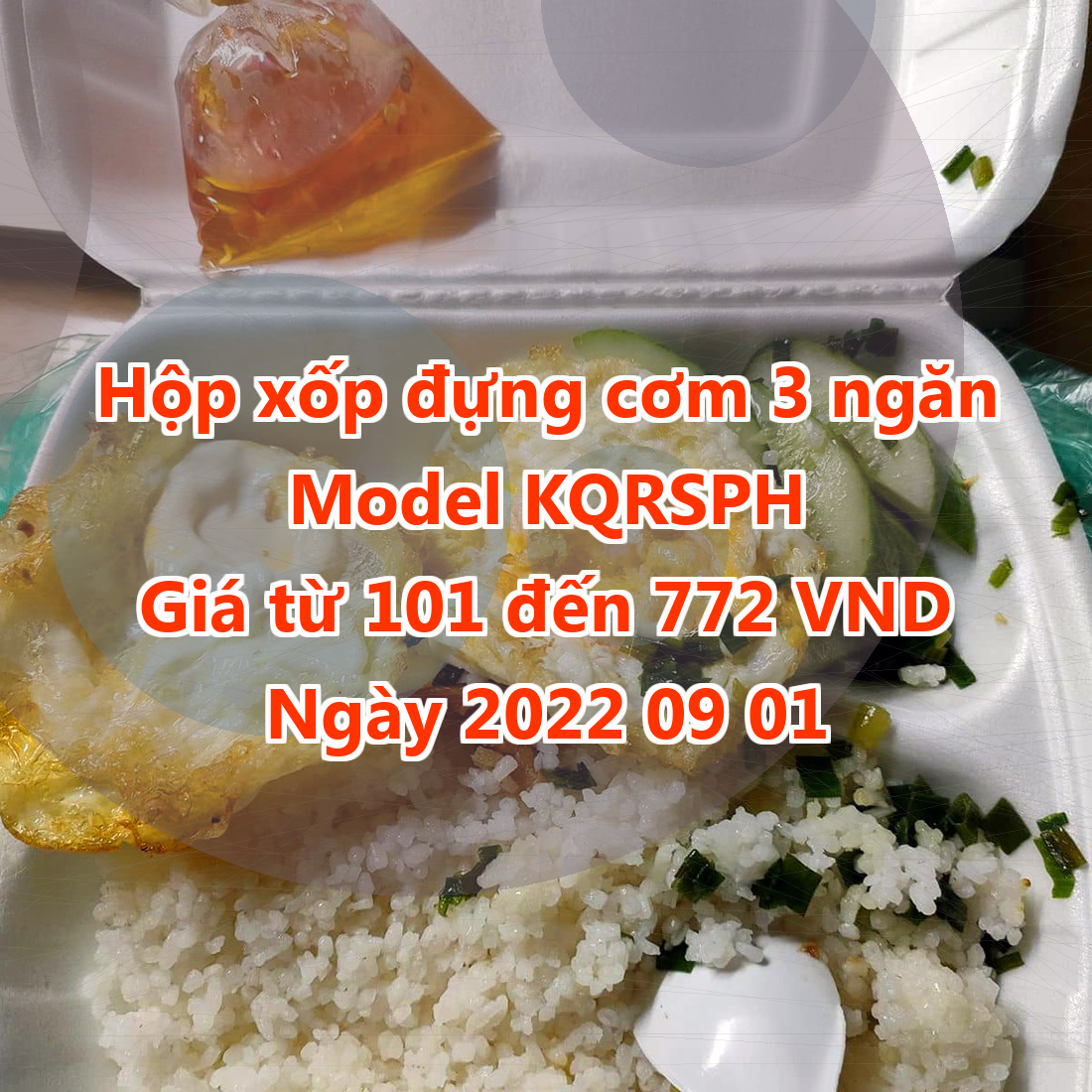 Hộp xốp đựng cơm 3 ngăn - Model KQRSPH