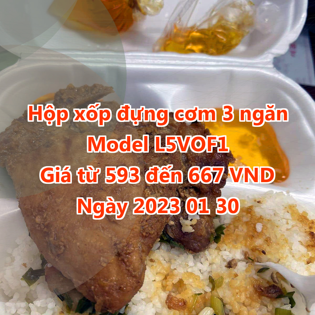 Hộp xốp đựng cơm 3 ngăn - Model L5VOF1