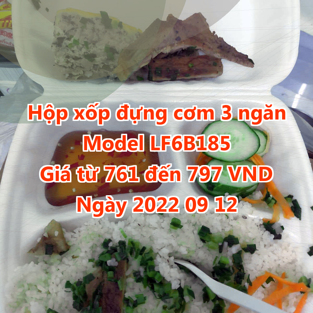 Hộp xốp đựng cơm 3 ngăn - Model LF6B185