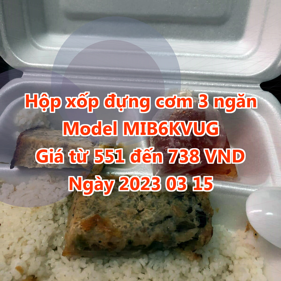 Hộp xốp đựng cơm 3 ngăn - Model MIB6KVUG