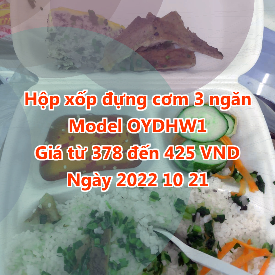 Hộp xốp đựng cơm 3 ngăn - Model OYDHW1