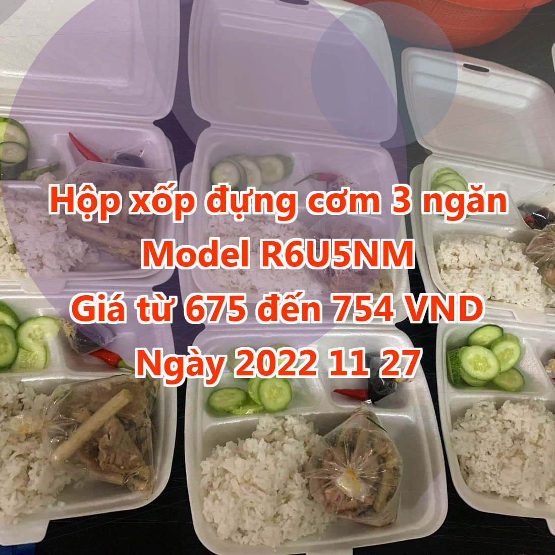 Hộp xốp đựng cơm 3 ngăn - Model R6U5NM - Màu Purple