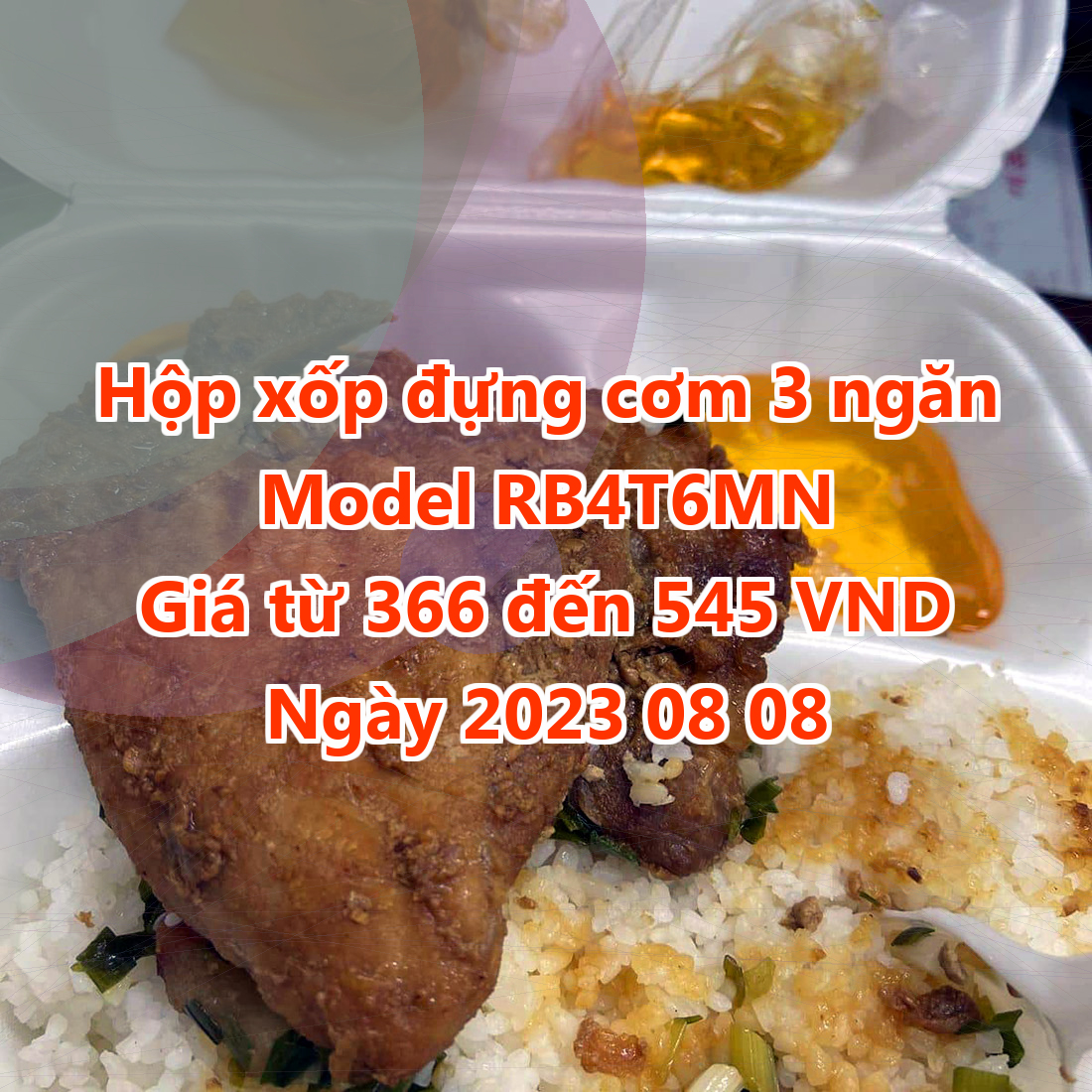 Hộp xốp đựng cơm 3 ngăn - Model RB4T6MN