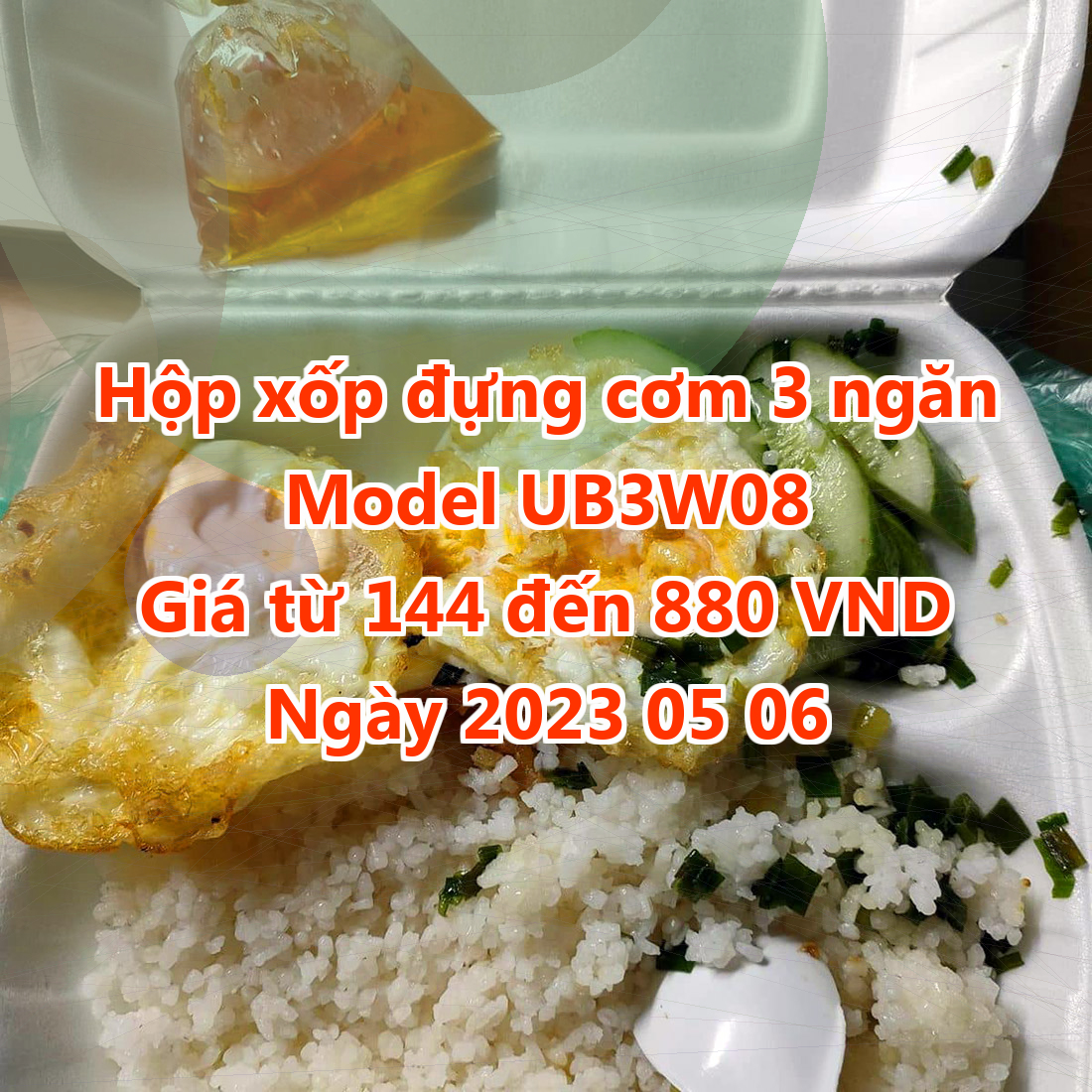 Hộp xốp đựng cơm 3 ngăn - Model UB3W08 - Màu Burly Wood