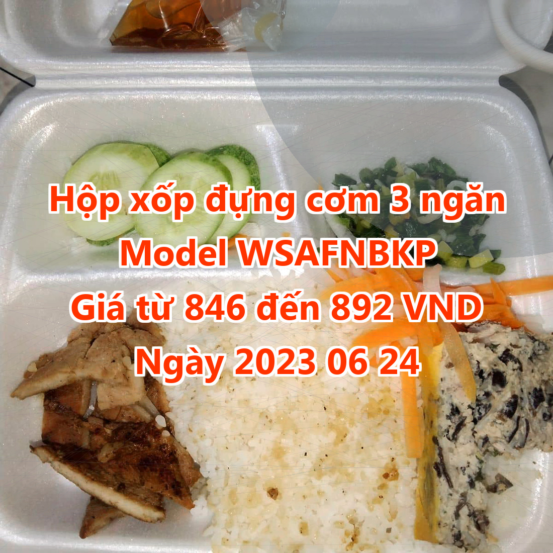 Hộp xốp đựng cơm 3 ngăn - Model WSAFNBKP - Giá 846 đồng