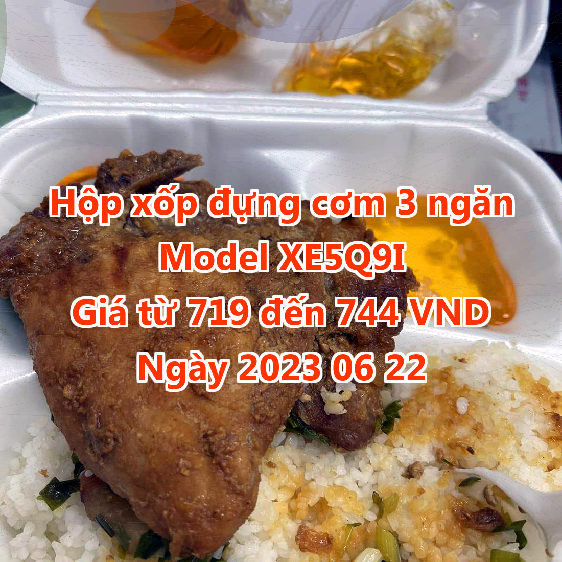 Hộp xốp đựng cơm 3 ngăn - Model XE5Q9I