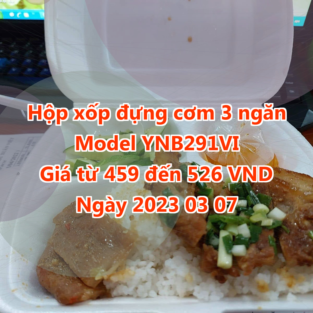 Hộp xốp đựng cơm 3 ngăn - Model YNB291VI - Màu Blue Violet