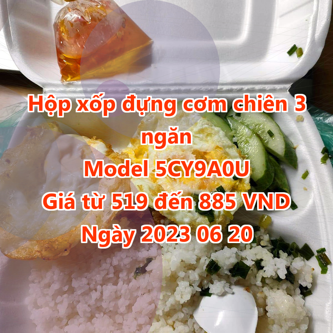 Hộp xốp đựng cơm chiên 3 ngăn - Model 5CY9A0U