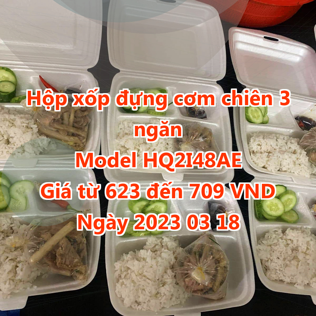 Hộp xốp đựng cơm chiên 3 ngăn - Model HQ2I48AE - Màu Cornsilk