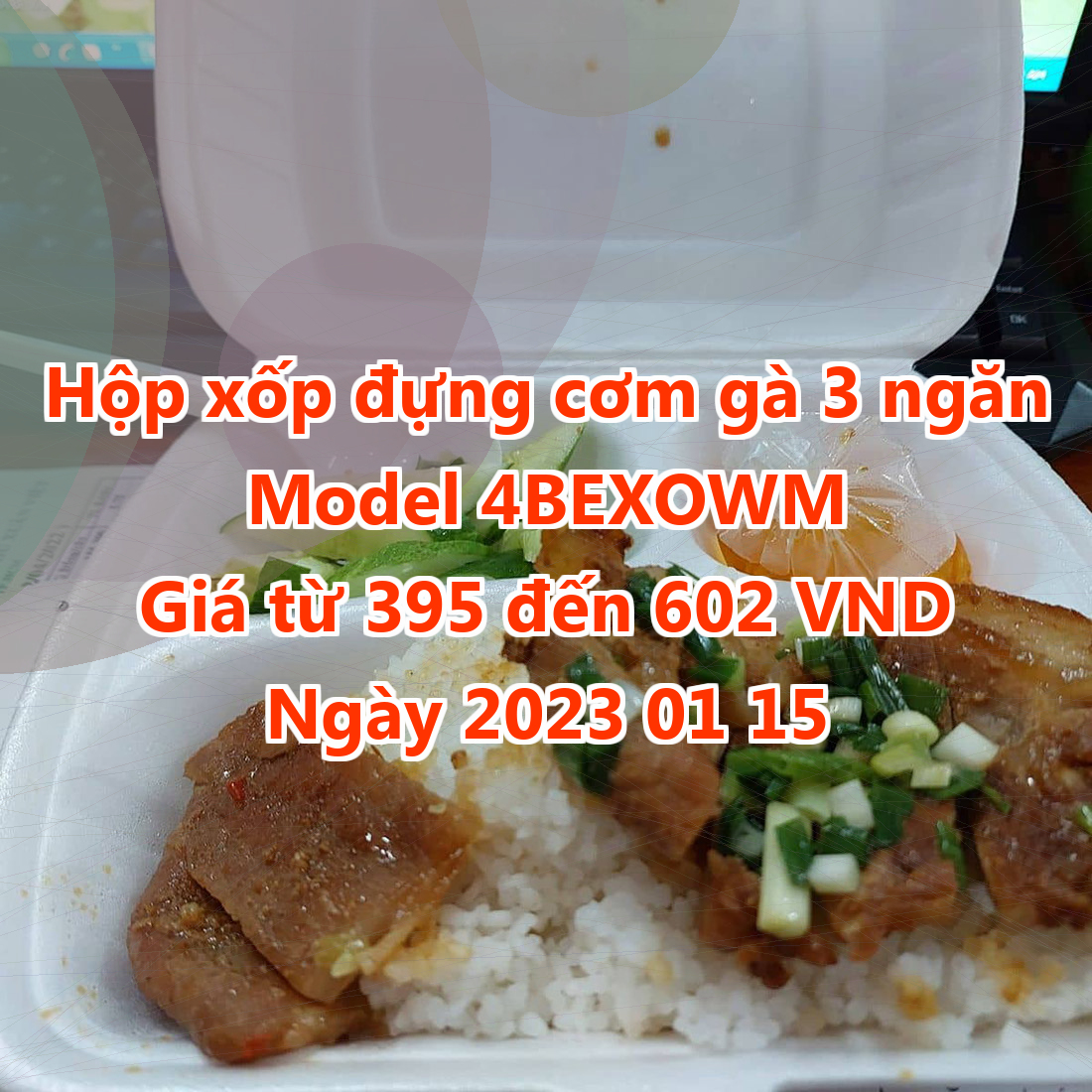 Hộp xốp đựng cơm gà 3 ngăn - Model 4BEXOWM