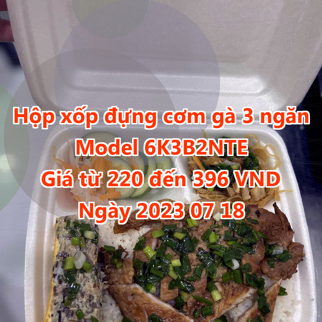 Hộp xốp đựng cơm gà 3 ngăn - Model 6K3B2NTE