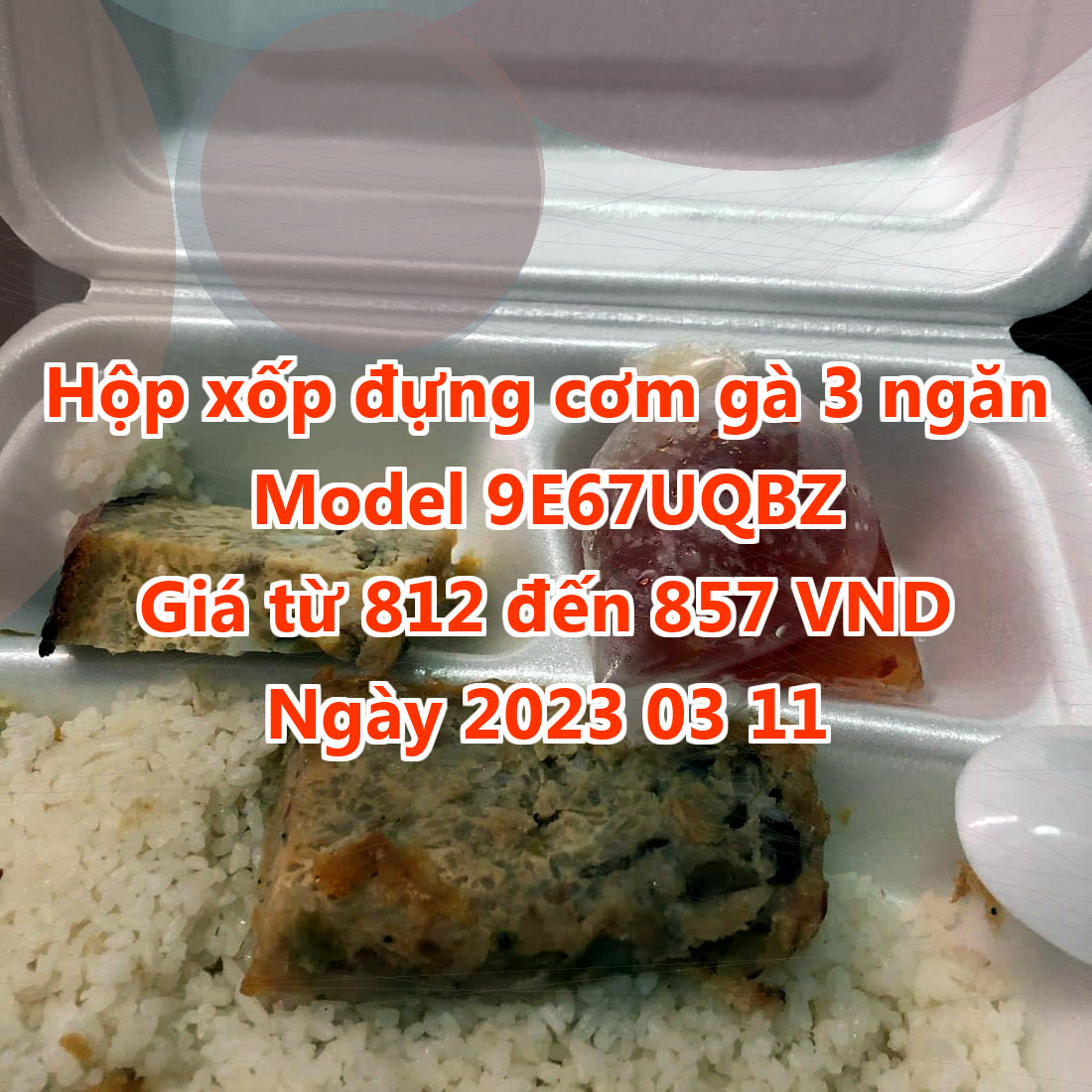 Hộp xốp đựng cơm gà 3 ngăn - Model 9E67UQBZ