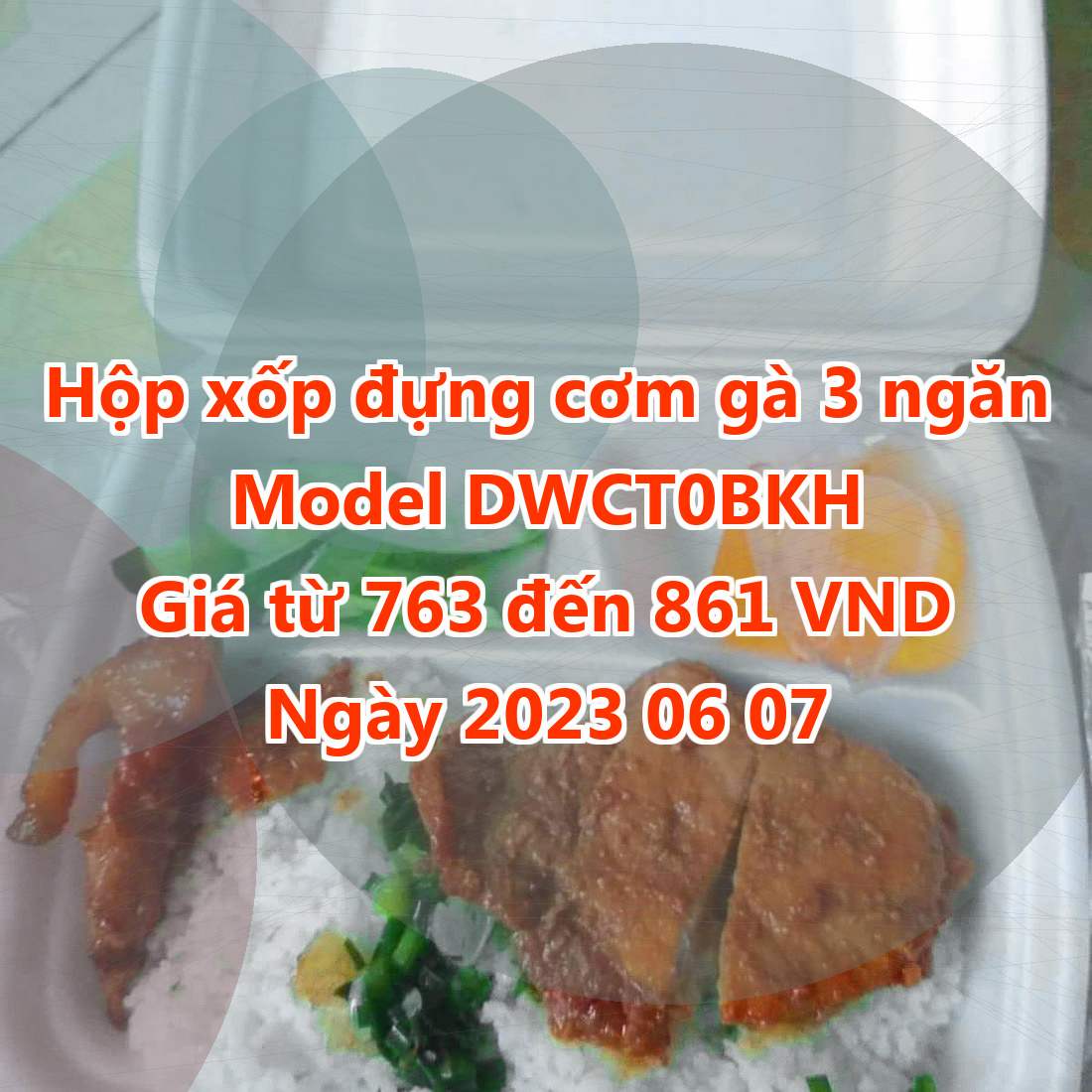 Hộp xốp đựng cơm gà 3 ngăn - Model DWCT0BKH - Giá 763 đồng