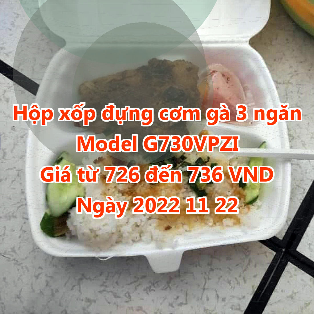 Hộp xốp đựng cơm gà 3 ngăn - Model G730VPZI