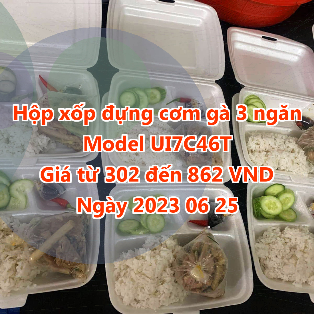 Hộp xốp đựng cơm gà 3 ngăn - Model UI7C46T