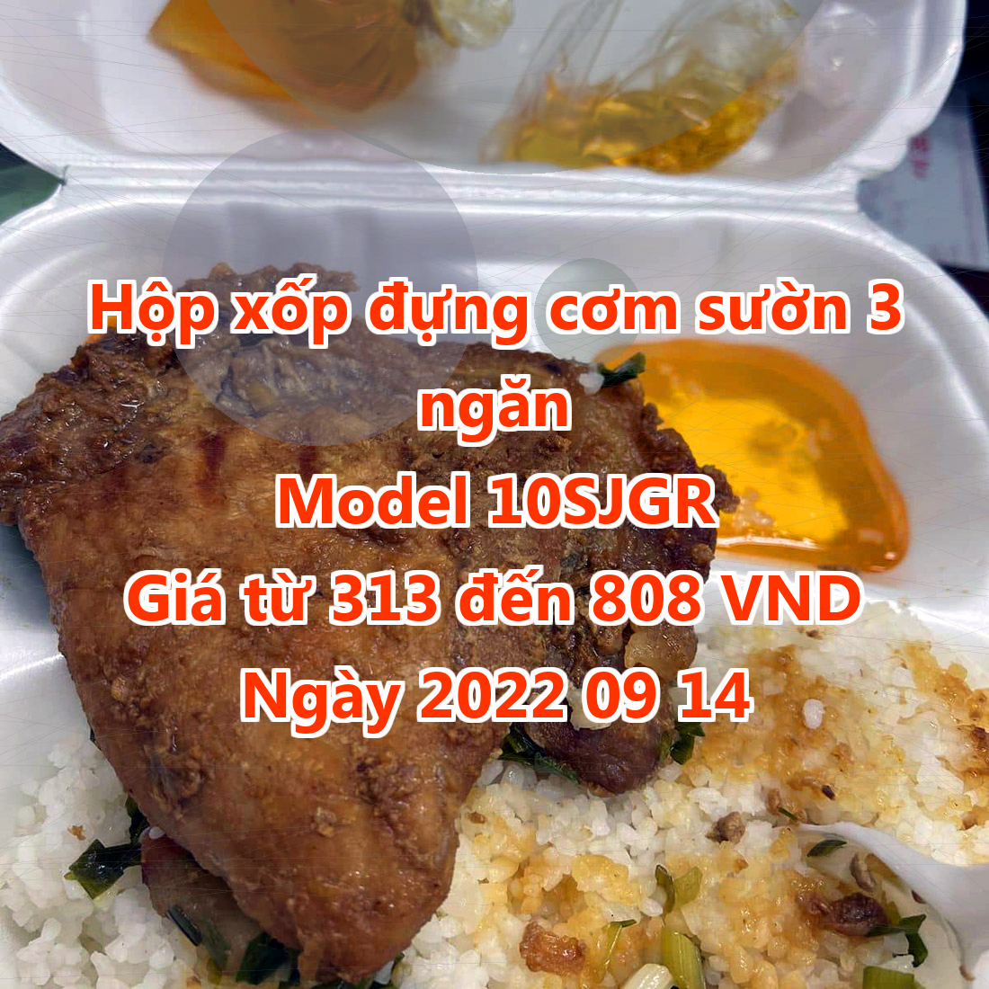 Hộp xốp đựng cơm sườn 3 ngăn - Model 10SJGR - Màu White