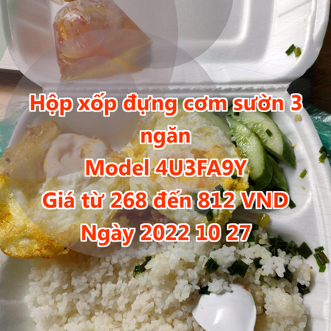 Hộp xốp đựng cơm sườn 3 ngăn - Model 4U3FA9Y