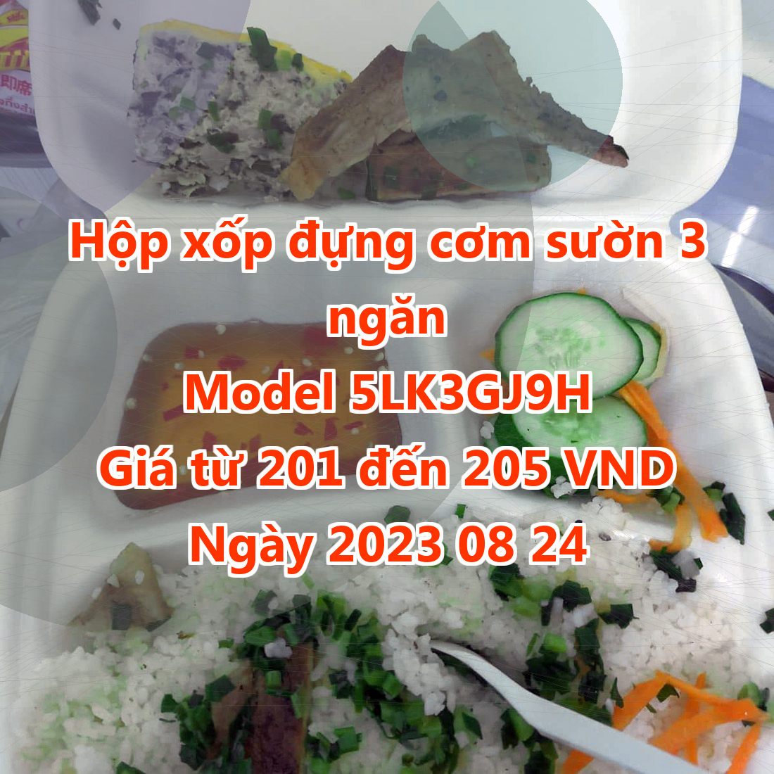 Hộp xốp đựng cơm sườn 3 ngăn - Model 5LK3GJ9H - Giá 201 đồng