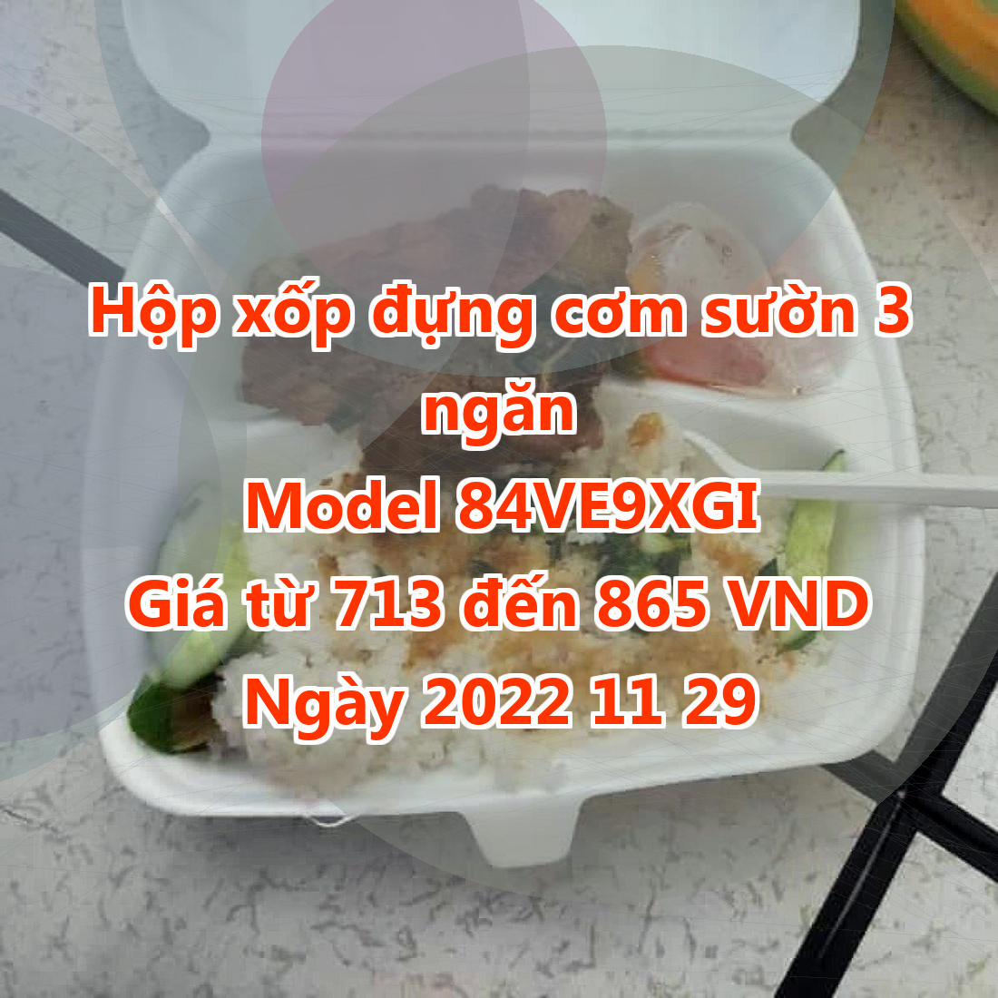 Hộp xốp đựng cơm sườn 3 ngăn - Model 84VE9XGI