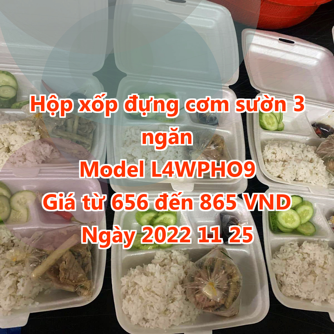 Hộp xốp đựng cơm sườn 3 ngăn - Model L4WPHO9 - Giá 656 đồng