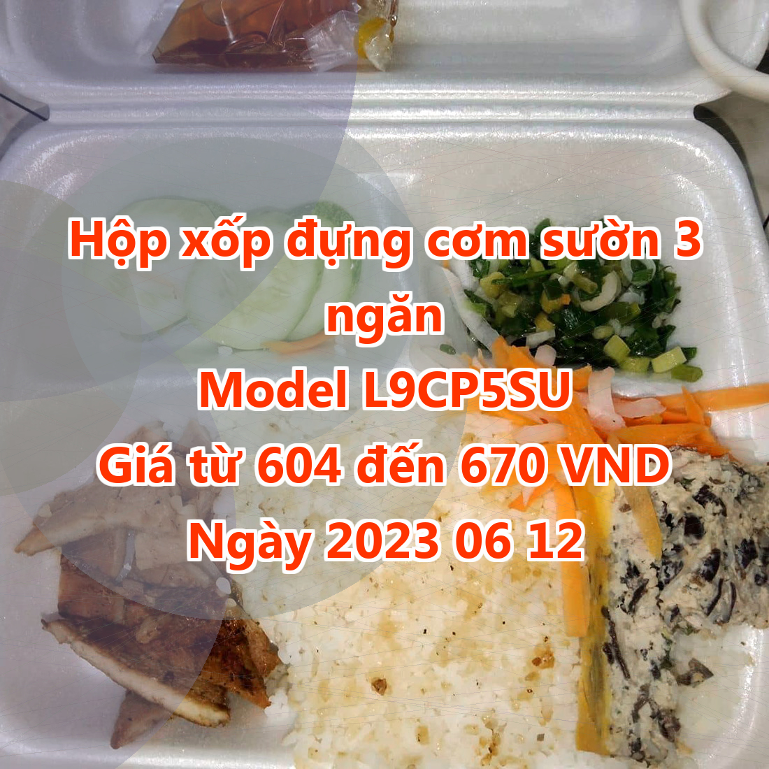 Hộp xốp đựng cơm sườn 3 ngăn - Model L9CP5SU