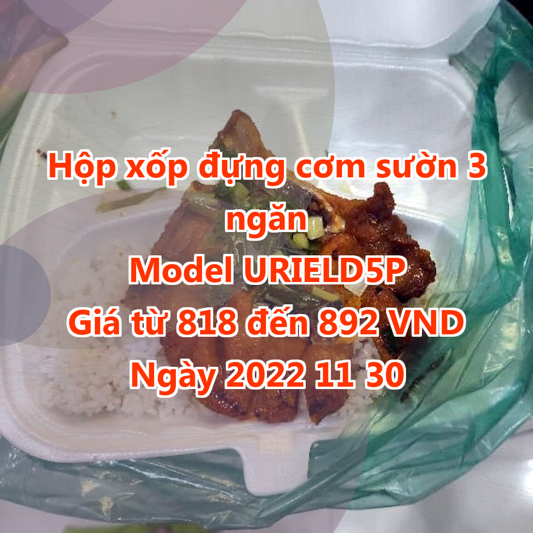 Hộp xốp đựng cơm sườn 3 ngăn - Model URIELD5P - Giá 818 VND