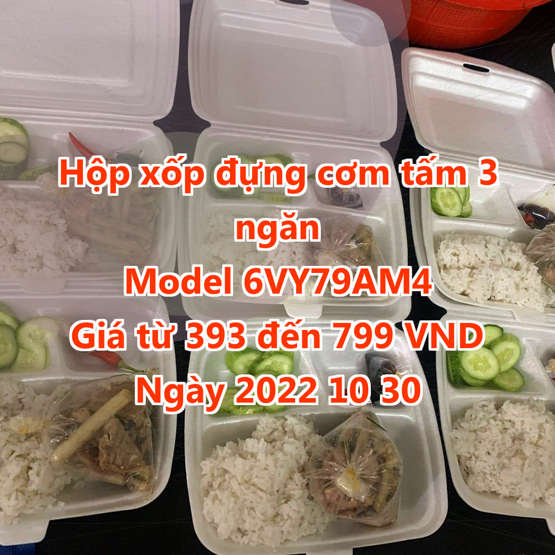 Hộp xốp đựng cơm tấm 3 ngăn - Model 6VY79AM4