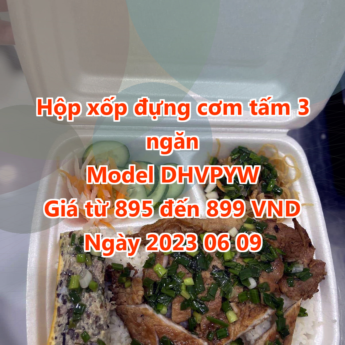 Hộp xốp đựng cơm tấm 3 ngăn - Model DHVPYW - Màu Medium Slate Blue