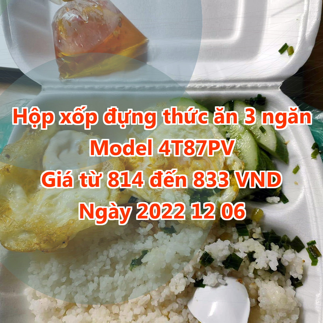 Hộp xốp đựng thức ăn 3 ngăn - Model 4T87PV