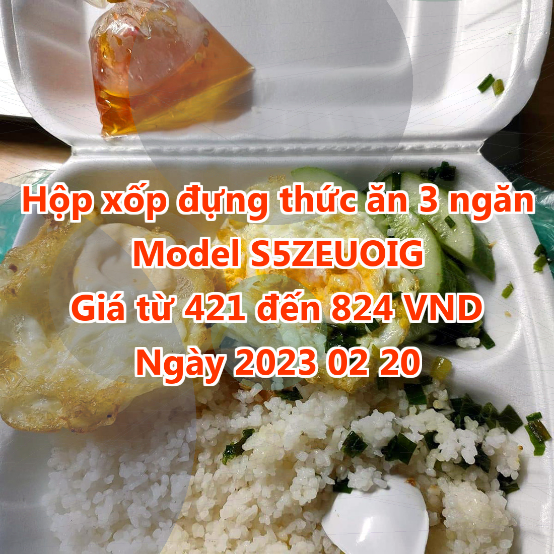 Hộp xốp đựng thức ăn 3 ngăn - Model S5ZEUOIG