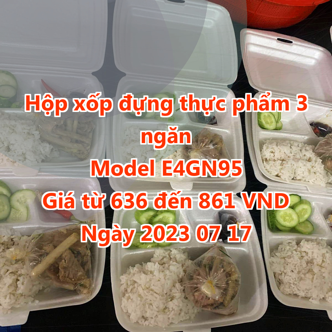 Hộp xốp đựng thực phẩm 3 ngăn - Model E4GN95 - Màu Dark Green
