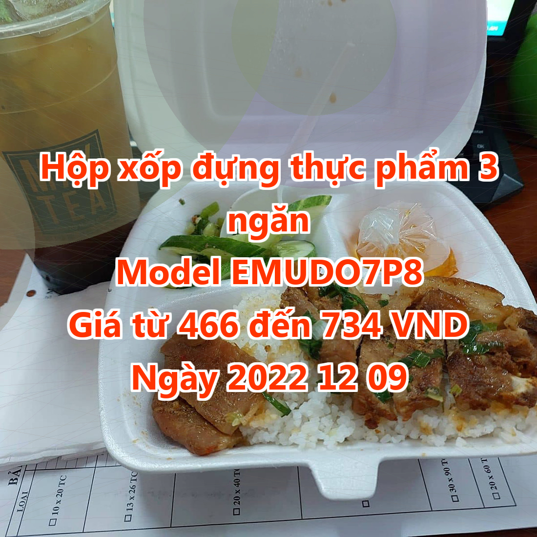 Hộp xốp đựng thực phẩm 3 ngăn - Model EMUDO7P8 - Màu Dark Cyan