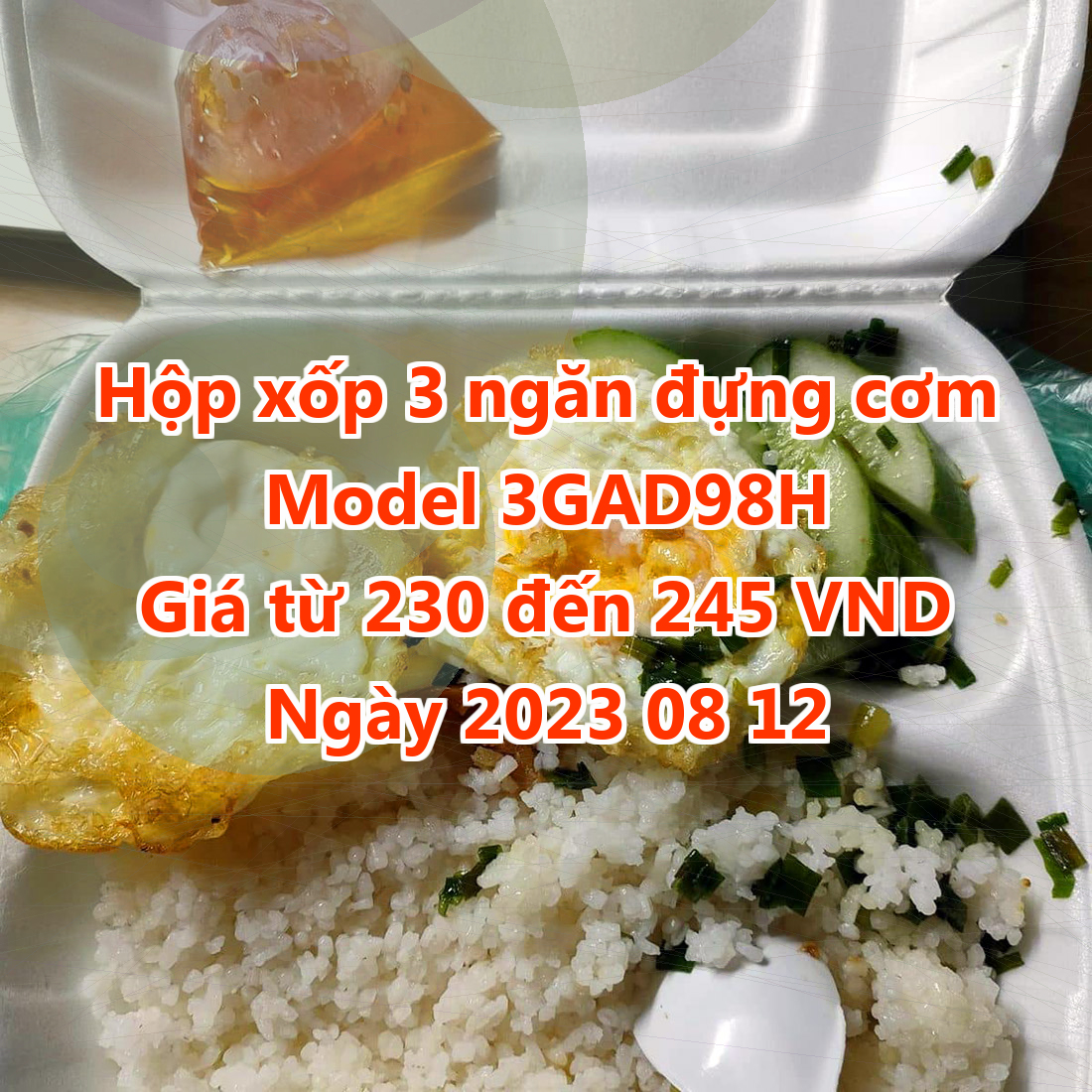 Hộp xốp 3 ngăn đựng cơm - Model 3GAD98H - Màu Light Salmon