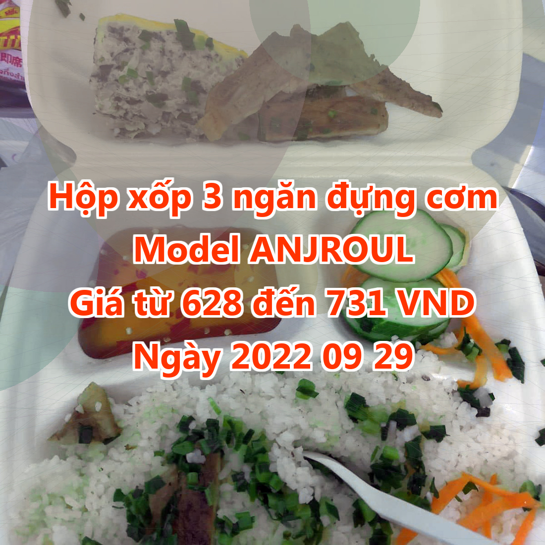 Hộp xốp 3 ngăn đựng cơm - Model ANJROUL