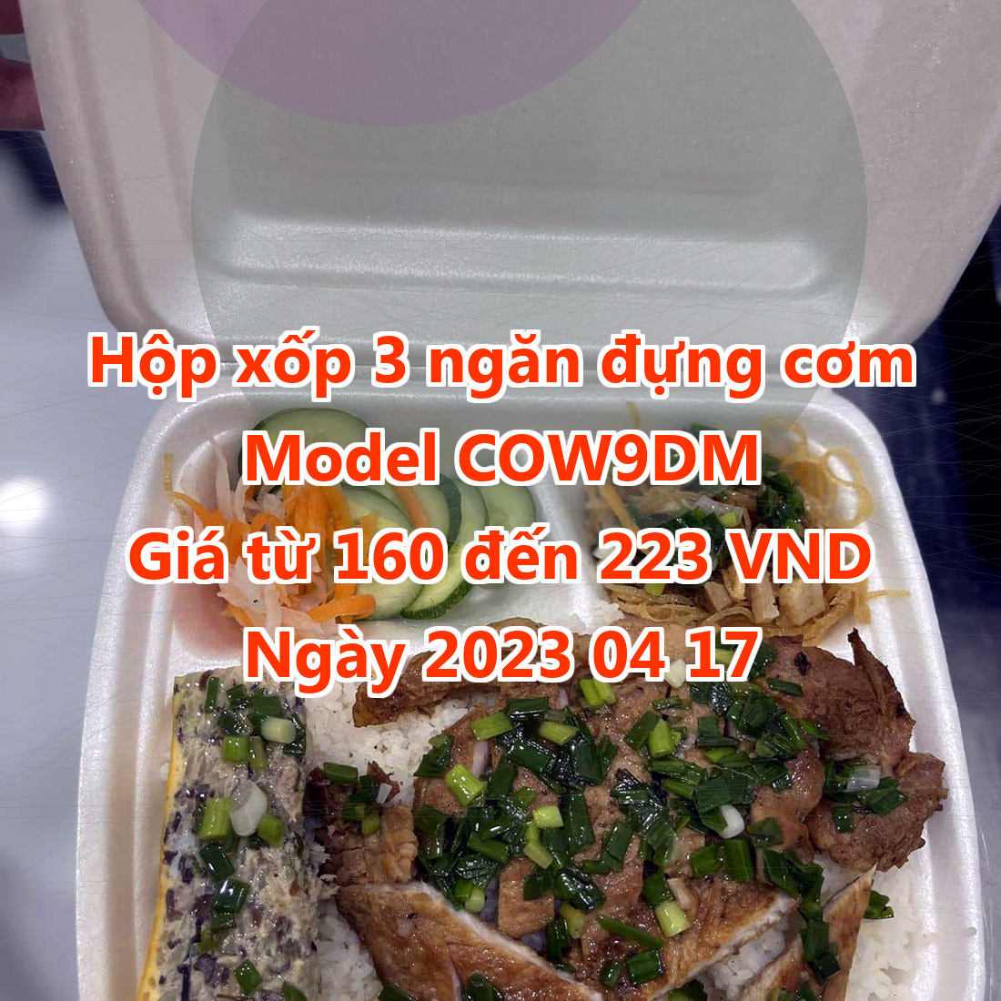 Hộp xốp 3 ngăn đựng cơm - Model COW9DM