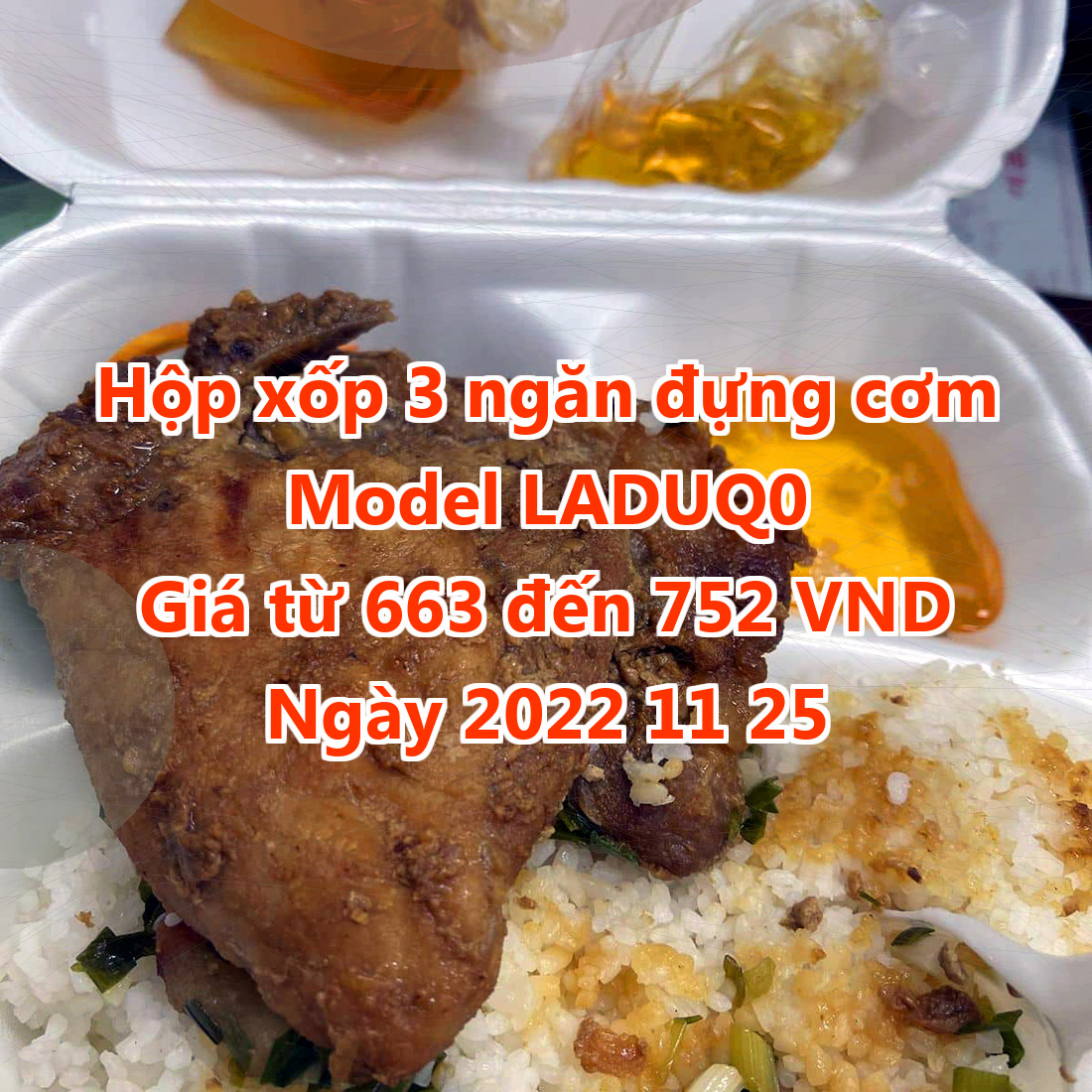 Hộp xốp 3 ngăn đựng cơm - Model LADUQ0