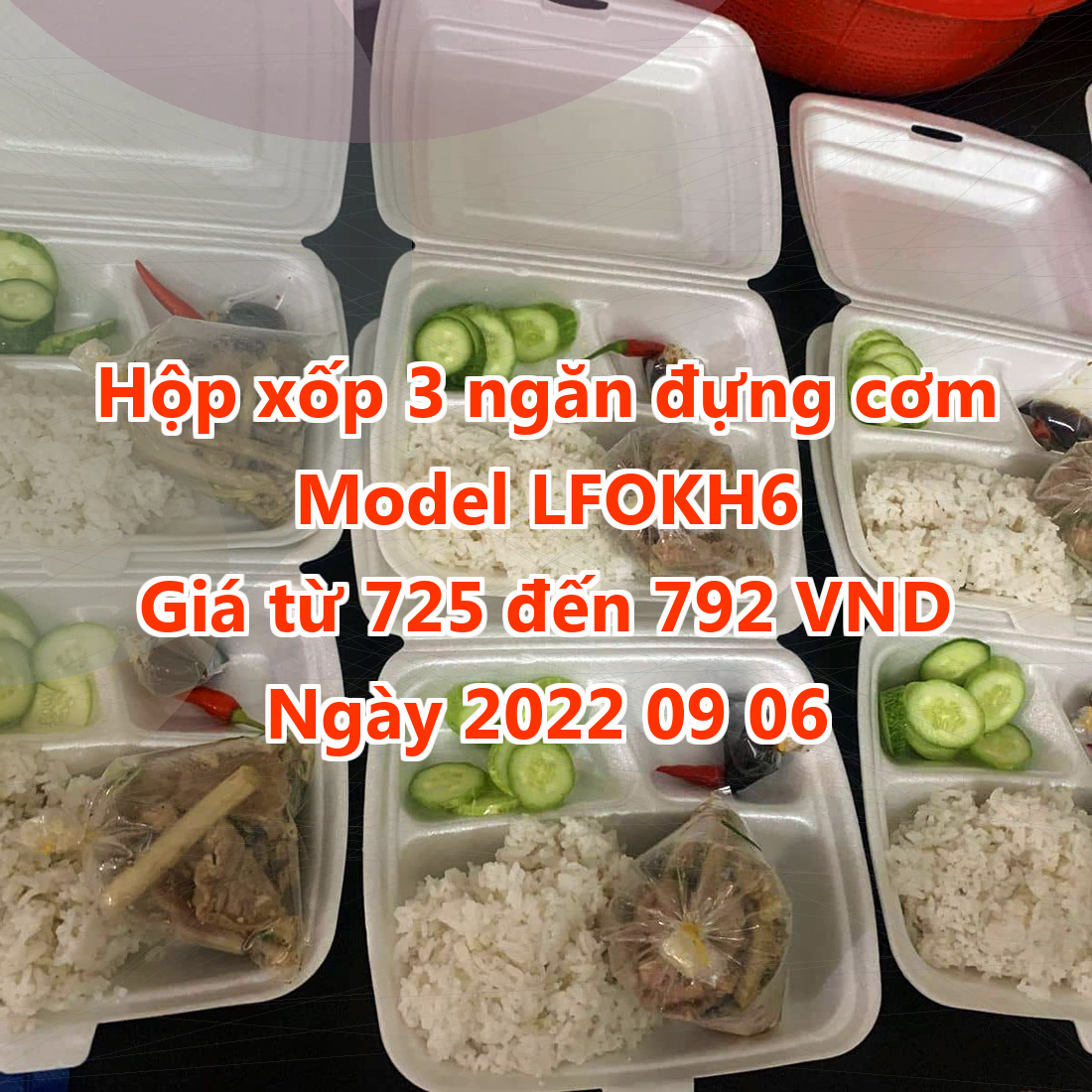 Hộp xốp 3 ngăn đựng cơm - Model LFOKH6