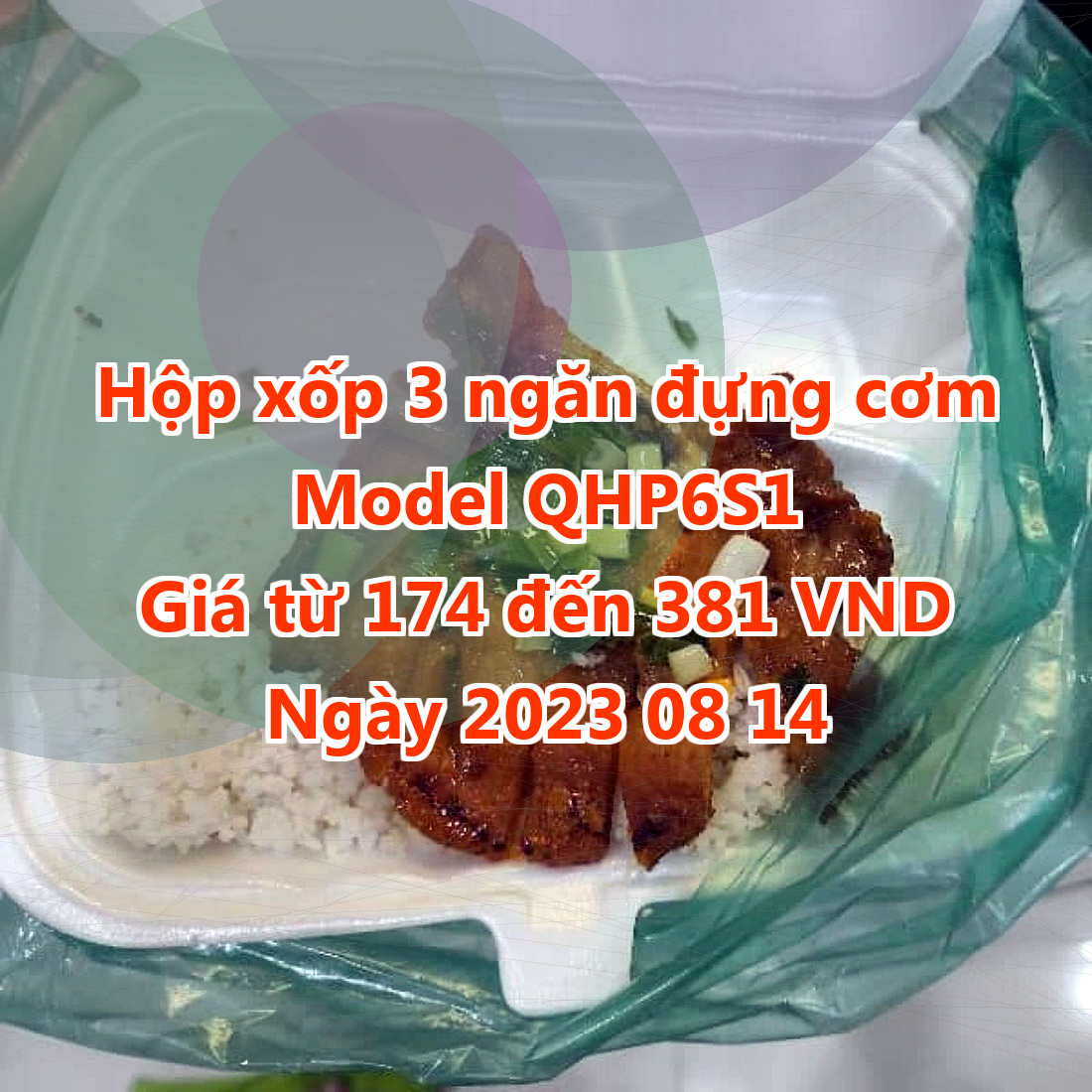 Hộp xốp 3 ngăn đựng cơm - Model QHP6S1 - Màu Spring Green